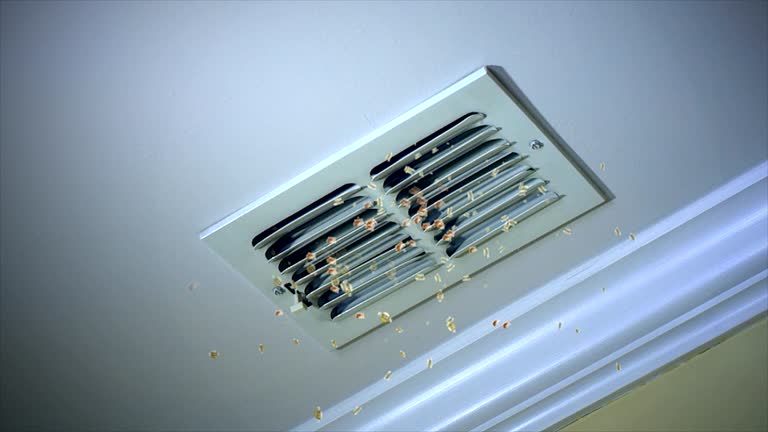 Best Ductwork Cleaning Services  in Bloomingdale, NJ