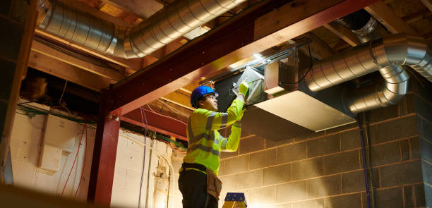 Best Air Duct Mold Removal  in Bloomingdale, NJ